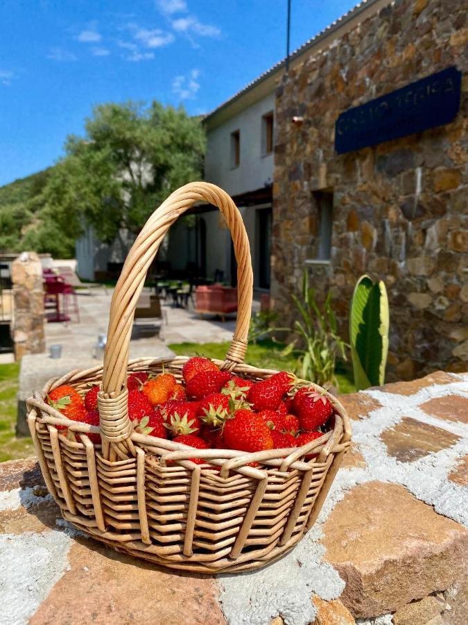 Casa Voltegira Bed & Breakfast Manso Екстериор снимка